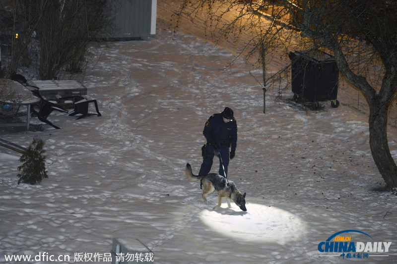 瑞典黑幫頭子家門口被槍殺 曾卷入瑞典國王性丑聞