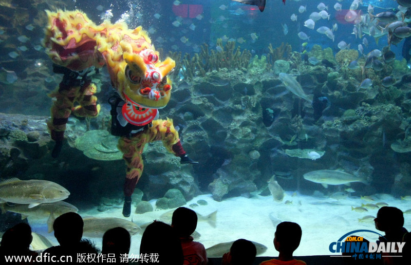水下舞獅財神拜年 馬來西亞一水族館喜迎中國年