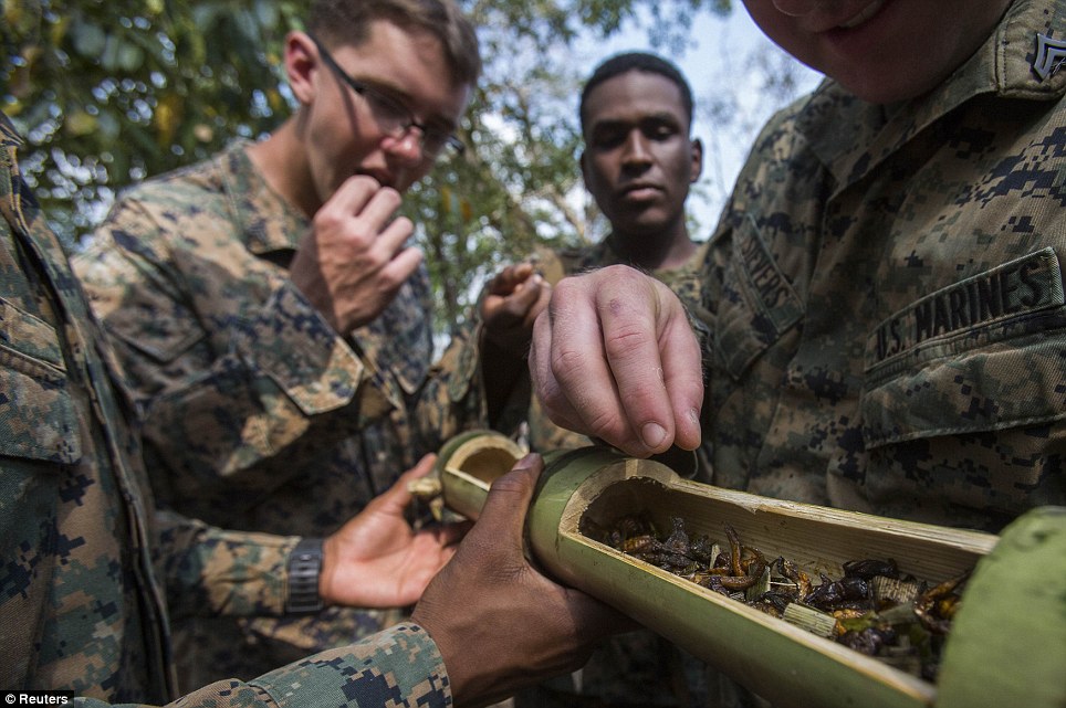 美國海軍陸戰隊生存訓練：喝蛇血、吃蝎子