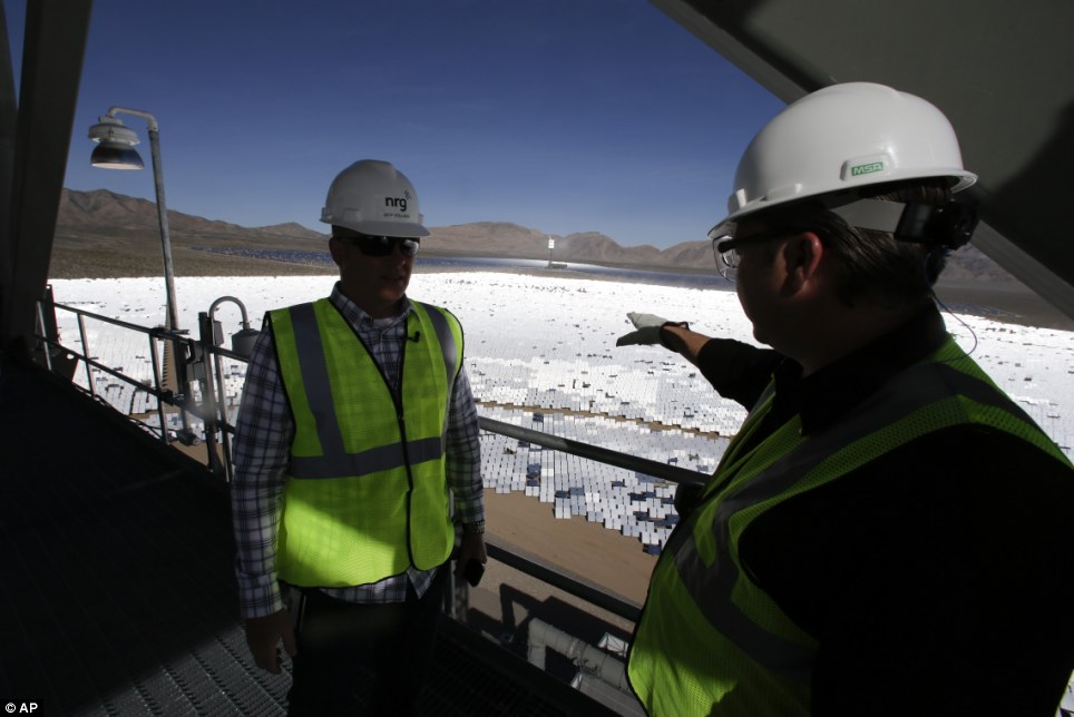 世界最大太陽能發電廠挨批 飛鳥誤闖后羽毛被烤焦