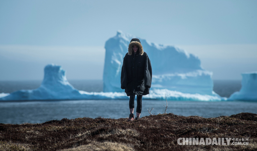 加拿大沿海小鎮現巨大冰山 民眾爭相來“看山”