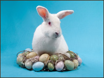 Easter Traditions 復活節(jié)習俗