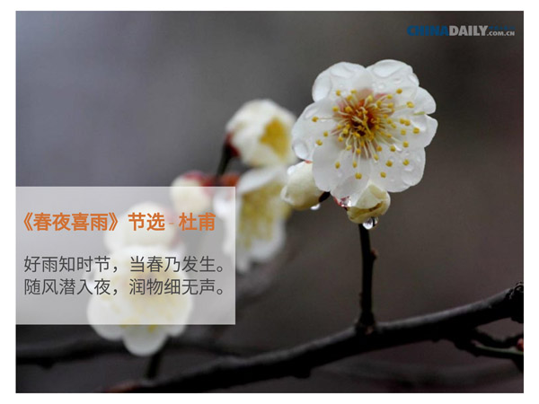 關(guān)于春天的五首中國古詩（組圖）