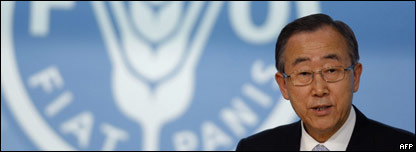 UN Food Summit 聯(lián)合國食品高峰會(huì)