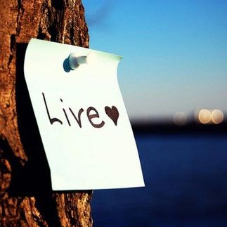 Purpose in life 如何找到人生目標(biāo)？
