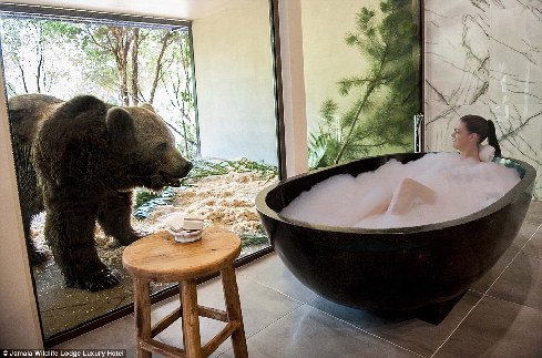 旅館？動(dòng)物園？這是澳大利亞加馬拉野生動(dòng)物旅館！