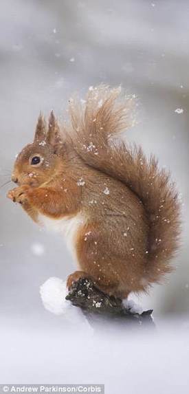 十大最難發音英語詞揭曉