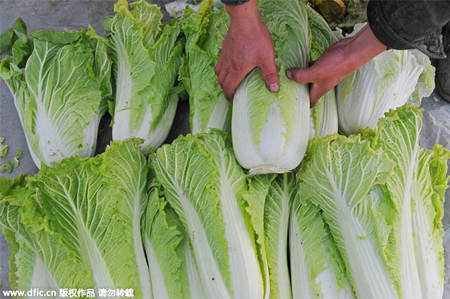 凍并快樂著：北京冬天十大傳統美食（組圖）
