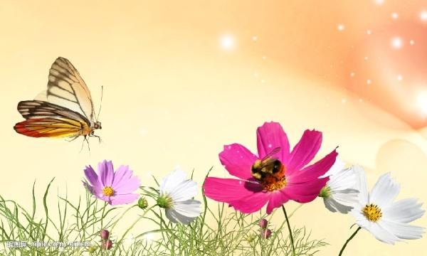 春天,一起來讀詩,雙語的!