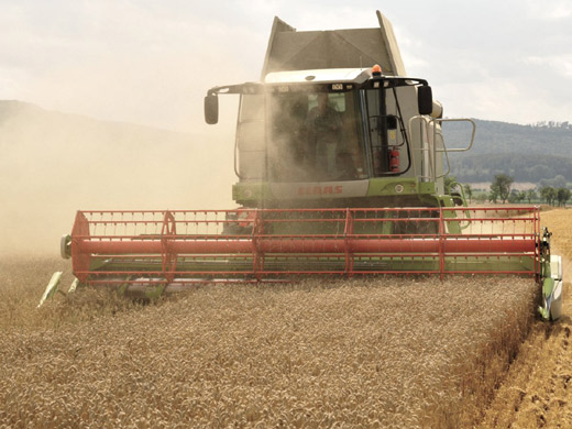 漲知識:13個讓你看不懂的英文習語的起源