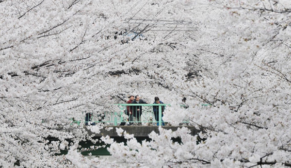 數字游牧民看過來:最適合你工作生活的十個城市