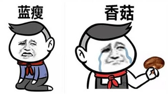 盤點：2016年度網(wǎng)絡(luò)熱詞你全懂嗎？（組圖）