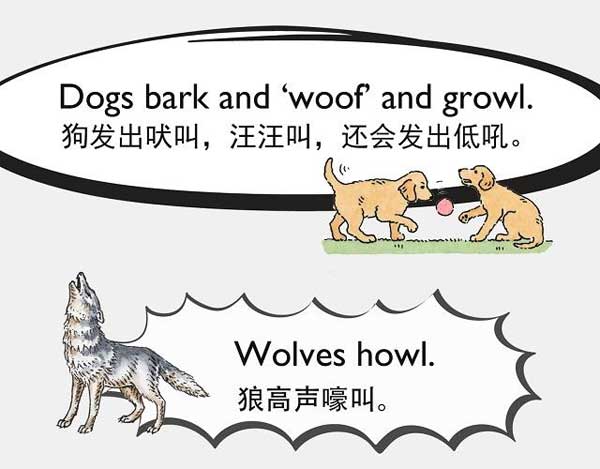 自然界中有各種聲音 如何用英語來描述動物的叫聲？