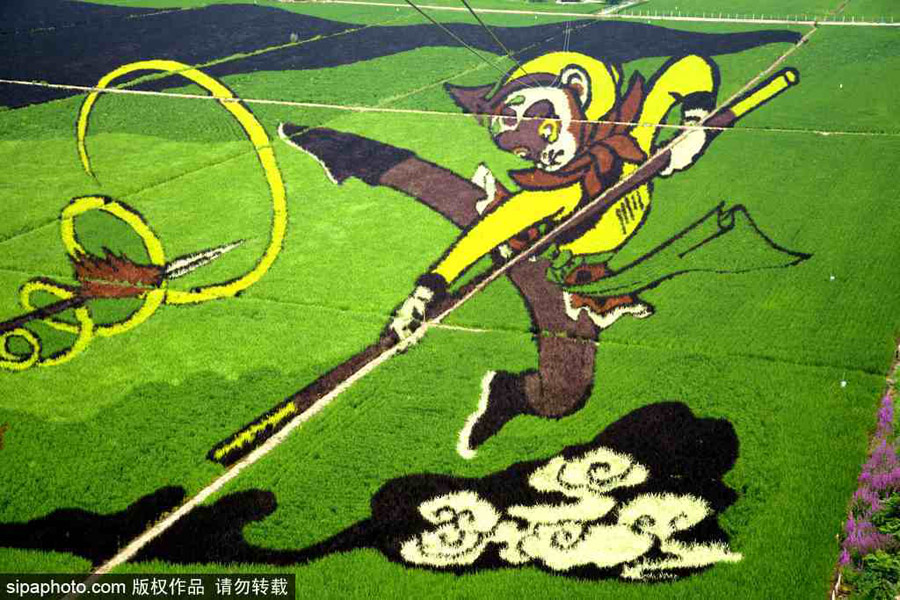 春回大地草木萌動 盤點那些農田光景返樸歸真（組圖）