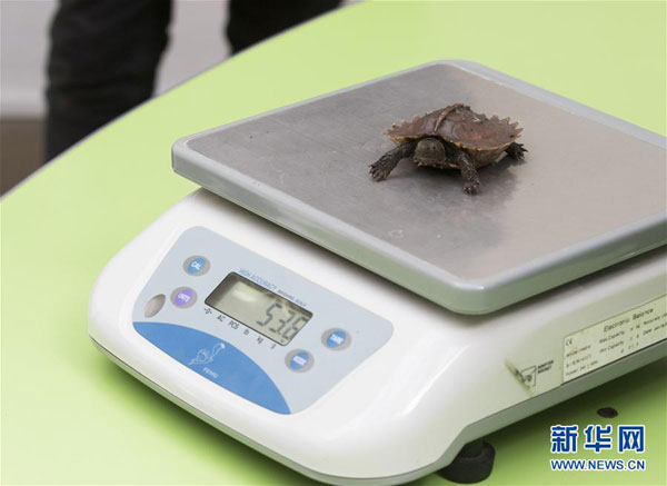 倫敦動物園“人口普查” 動物萌態十足（組圖）