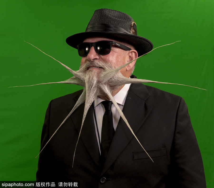 2017年世界留胡子錦標賽：哪款Freestyle你最愛？（組圖）