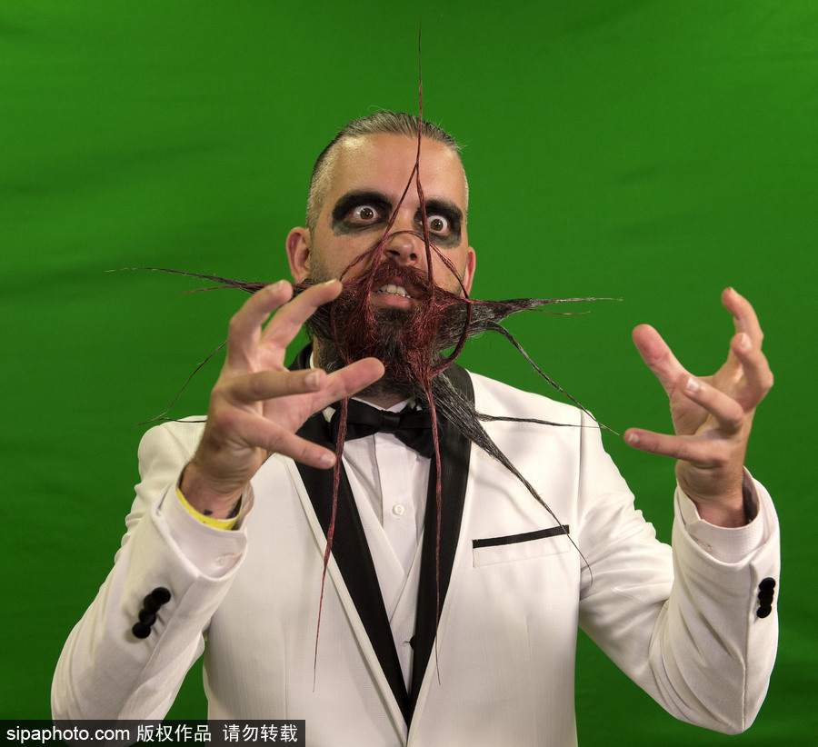 2017年世界留胡子錦標賽：哪款Freestyle你最愛？（組圖）