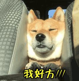 支付寶年度賬單挖了個大坑，你也不慎掉進去了嗎？