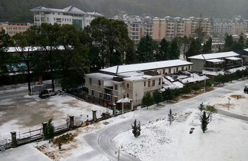 北半球的大雪，你來(lái)得太猛烈