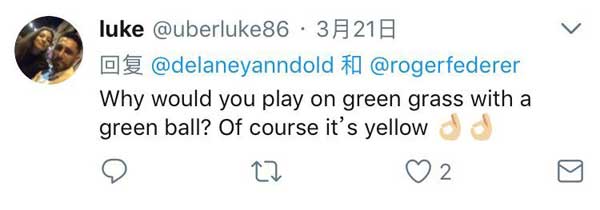 網球到底是黃色還是綠色？看看費德勒怎么說