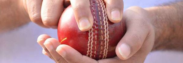 牛津熱詞:誰(shuí)咬了碧昂絲?