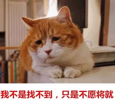 你單身的原因找到了！調查：七成人不愿將就，半數男生看臉