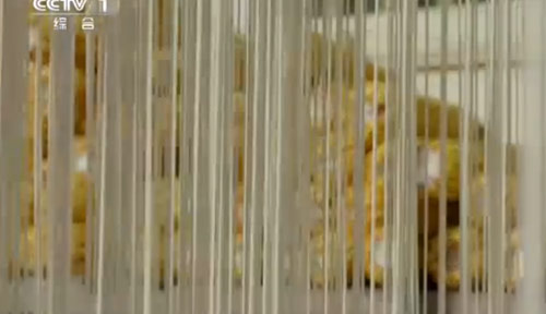 “舌尖上的中國(guó)2”美食英文說(shuō)法搶鮮看之二（組圖）