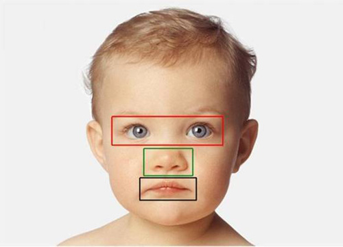 “可愛回應”不只屬于成年人!