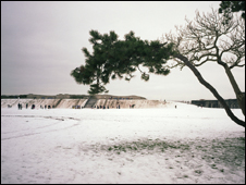 天舒訪談:工程與藝術的選擇