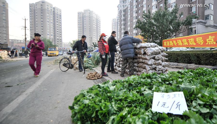 People in N China busy with stocking vegetables before winter season