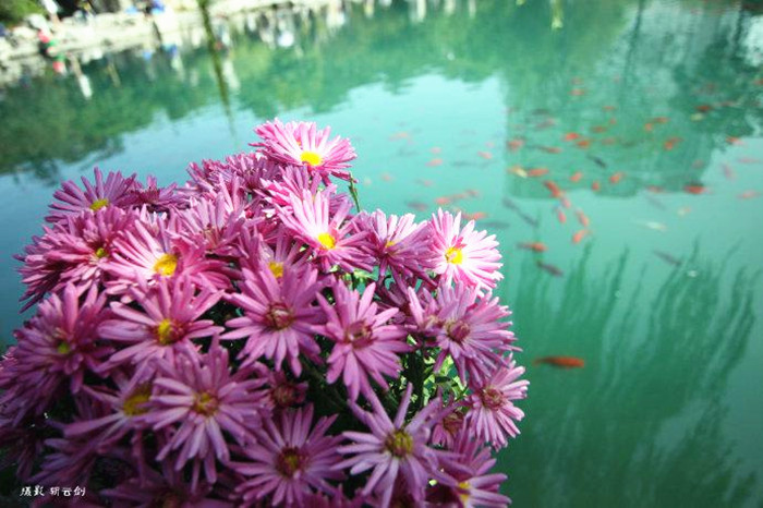 Jinan, a waterside city