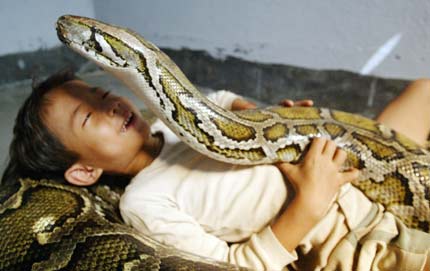 Six-year-old Cambodian boy Oeun Sambat hugs his best friend, 5-metre-long and six-year-old female python named Chamreun or "Lucky" in the village of Sit Tbow in Kandal province, some 50km (31 miles) east of Phnom Penh June 3, 2006. Superstitious villagers in the impoverished southeast Asian nation are flocking to see the boy, who they believe has supernatural powers and was proudly the son of a dragon in a former life. The female python came to live with Sambat in year 2000. [Reuters]