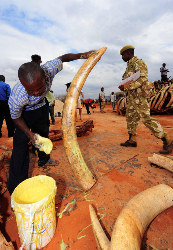 Five tons of smuggled ivory burned in Kenya