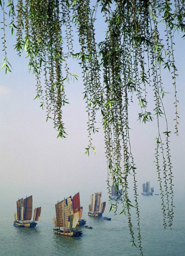 優(yōu)美的生態(tài)環(huán)境