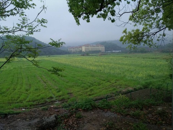 Taihu Lake Mashan Outdoor Tourism Festival opens in Wuxi