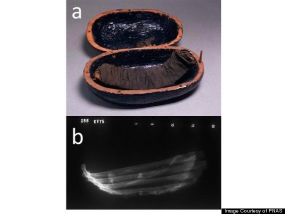 木乃伊陪葬肉塊經(jīng)復(fù)雜處理 用作死者來世食物
