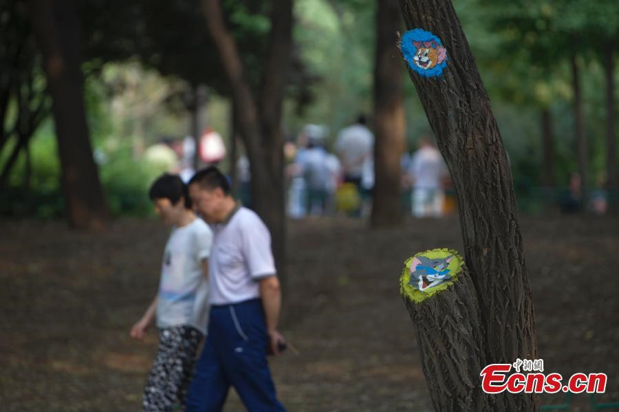 Tree paintings draw tourists to park