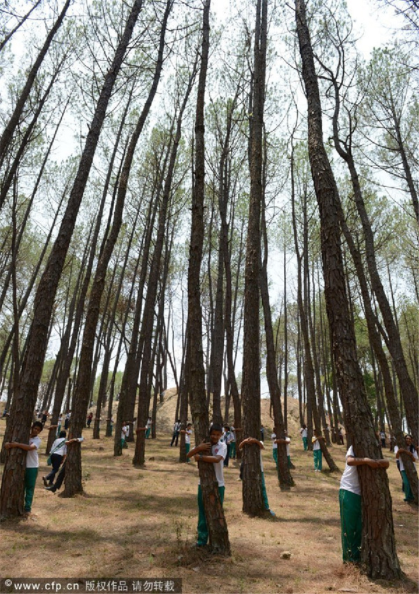 Nepalese students hug trees in world record bid