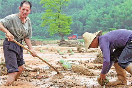 封面：南平災后重建任重道遠