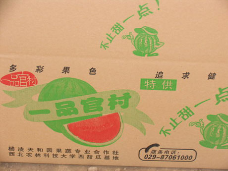 “一村一品”標準化 西瓜甜了 農民樂了