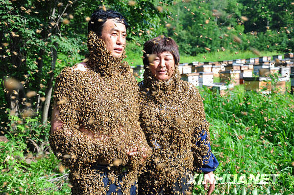 農民夫婦變“蜂人”[組圖]