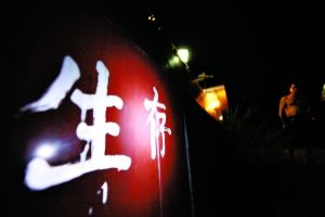 湖南瀏陽市鎘污染化工廠被永久關閉(圖)
