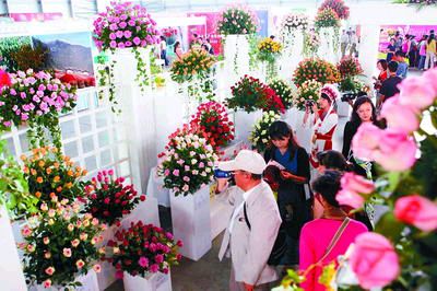 2009昆明國(guó)際花卉展暨第五屆農(nóng)博會(huì)開(kāi)幕