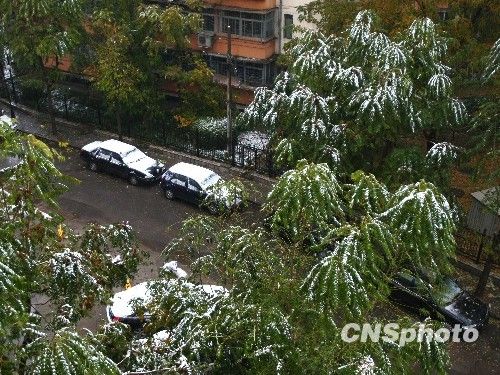 北京受降雪影響部分航班延誤 已啟動(dòng)應(yīng)急預(yù)案