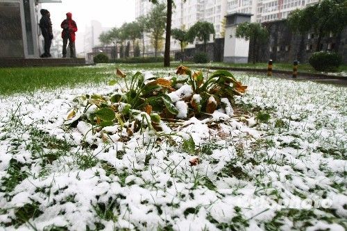 北京受降雪影響部分航班延誤 已啟動(dòng)應(yīng)急預(yù)案