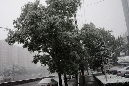 北京受降雪影響部分航班延誤 已啟動應急預案