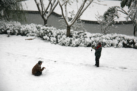 濟(jì)南迎來(lái)今冬首場(chǎng)大到暴雪（圖）