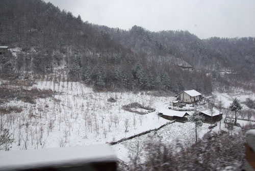 湖北神農架普降大雪(組圖)