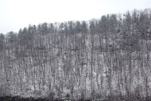 湖北神農架普降大雪(組圖)