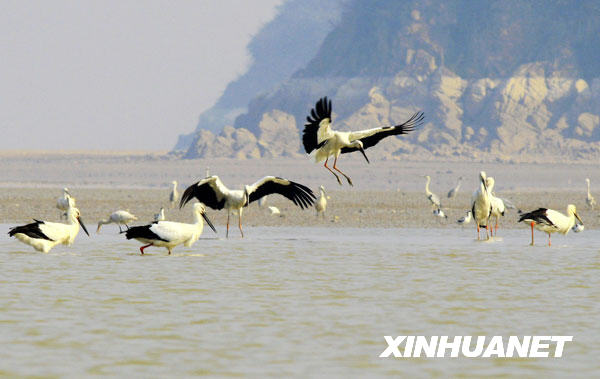 鶴舞鄱陽(yáng)湖